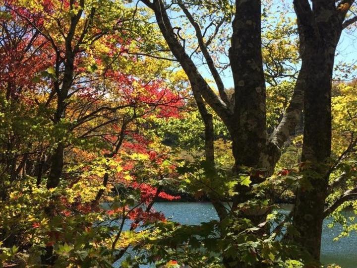 Forest Inn Sangoro Yamagata  Dış mekan fotoğraf