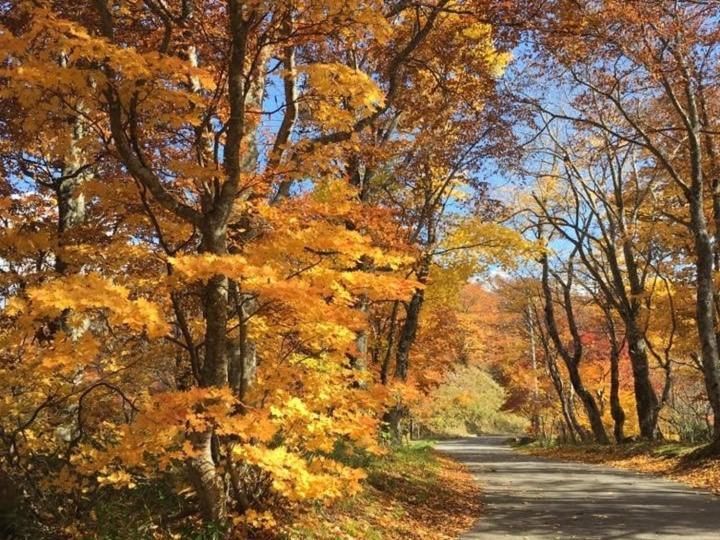 Forest Inn Sangoro Yamagata  Dış mekan fotoğraf