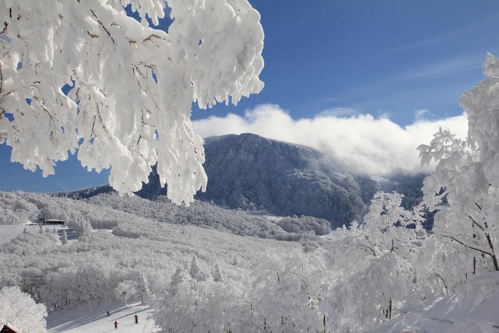 Forest Inn Sangoro Yamagata  Dış mekan fotoğraf