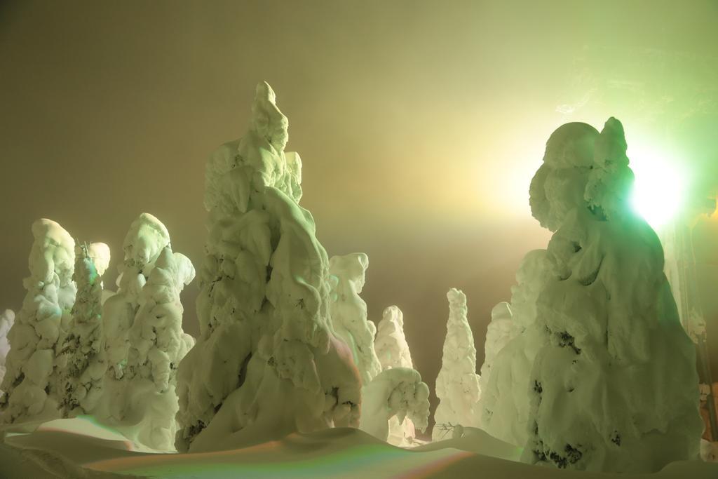 Forest Inn Sangoro Yamagata  Dış mekan fotoğraf
